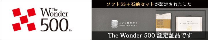 The Wonder 500